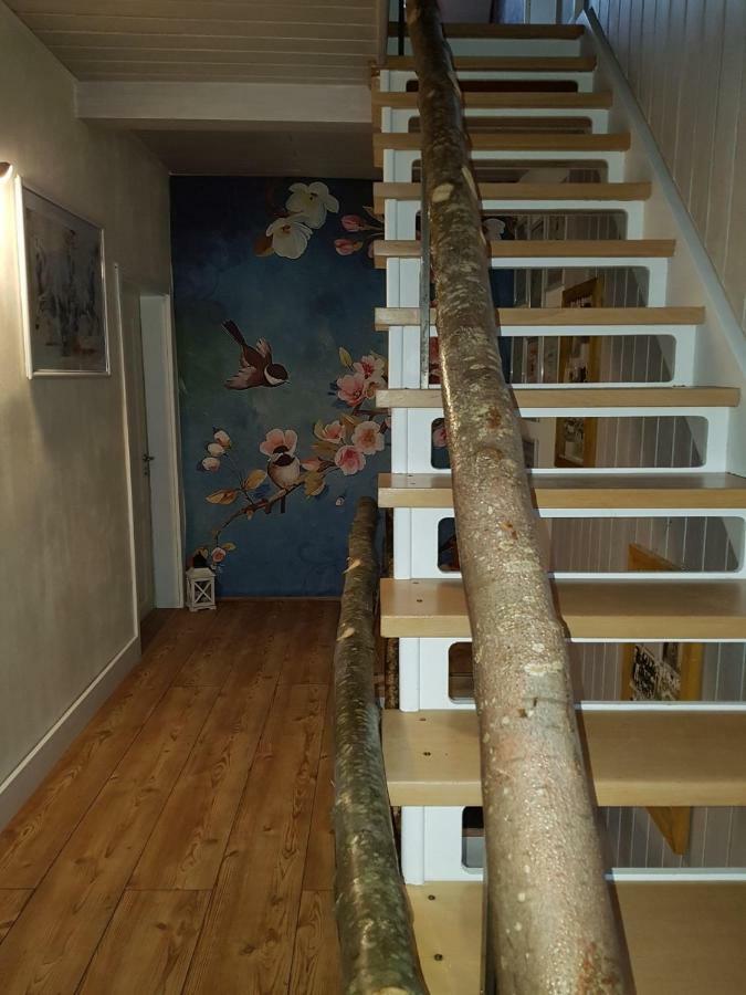 Zucht- Und Ausbildungsstall Rubly Kleinbundenbach Buitenkant foto
