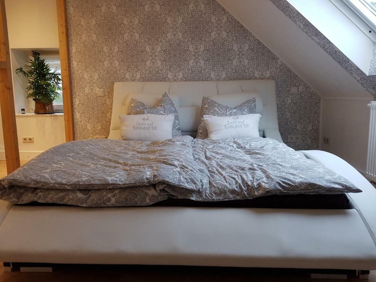 Zucht- Und Ausbildungsstall Rubly Kleinbundenbach Buitenkant foto