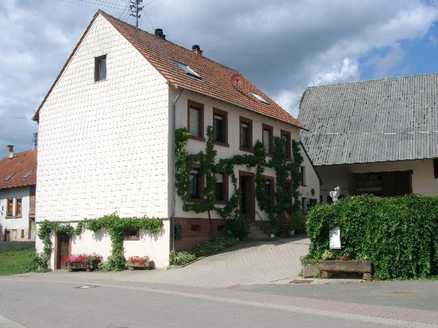 Zucht- Und Ausbildungsstall Rubly Kleinbundenbach Buitenkant foto